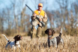 chien et chasseur