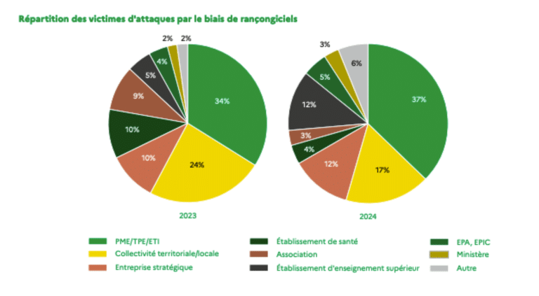 Assurance Cyber Risques : Répartition des victimes d'attaques par le biais de rançongiciels 2023-2024